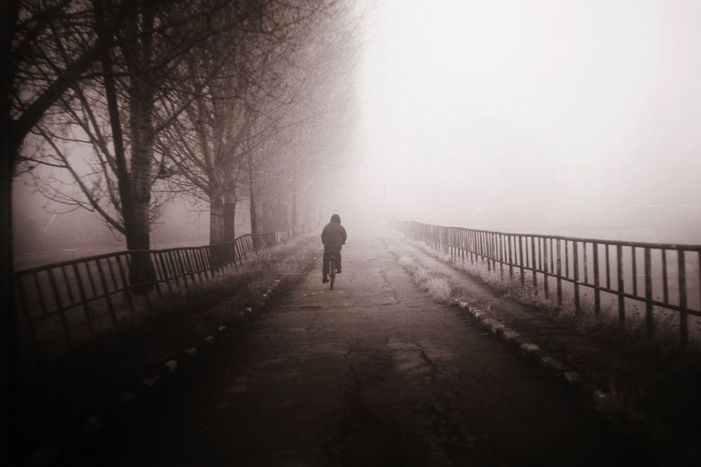 Silent World