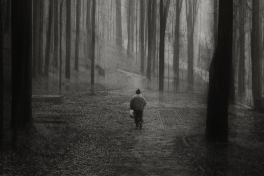 Silent World