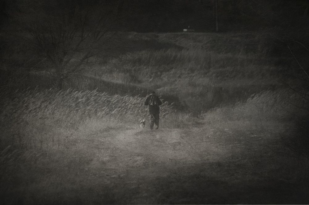 Silent World