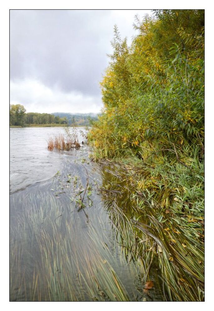 Загородные зарисовки. Сентябрь.