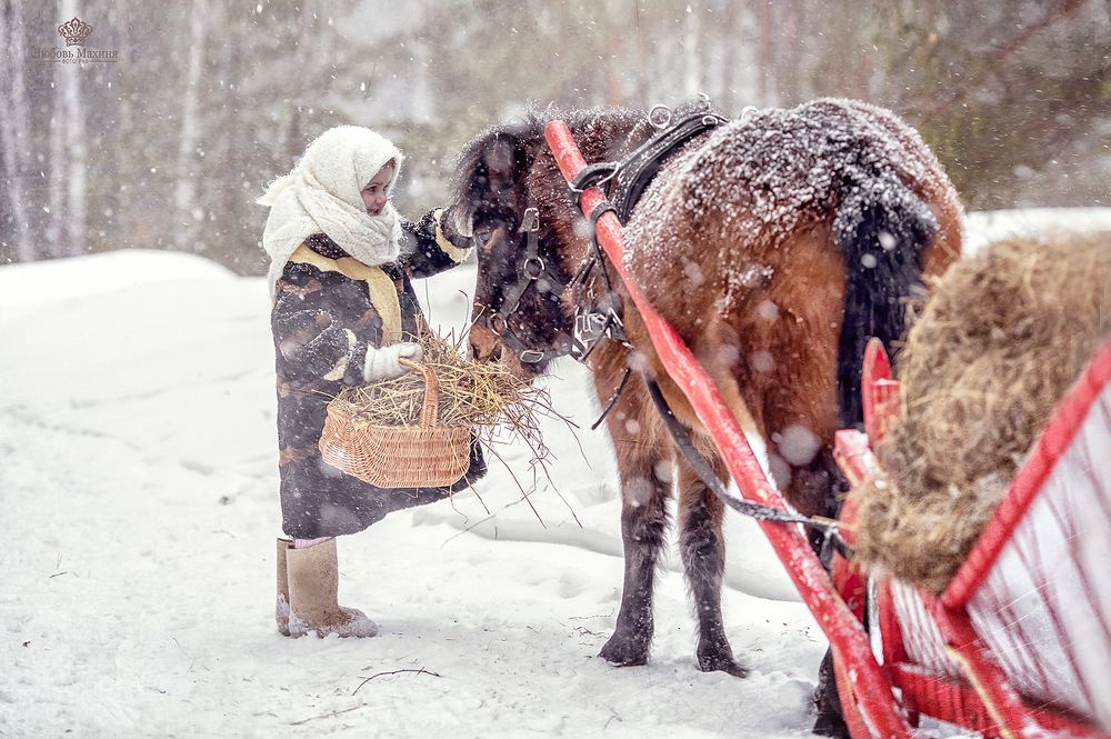 Настя и лошадка