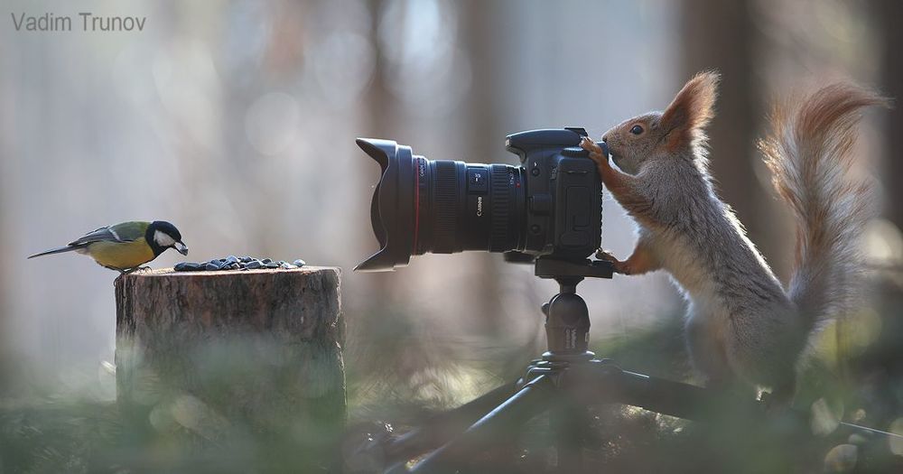Фотоохотник