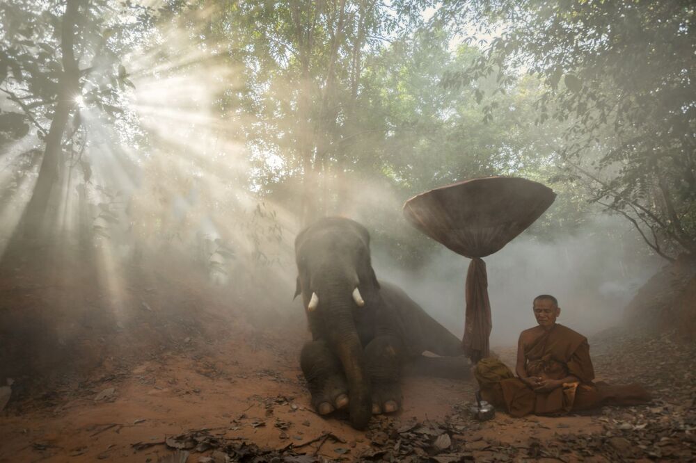 Thailand Elephant Village