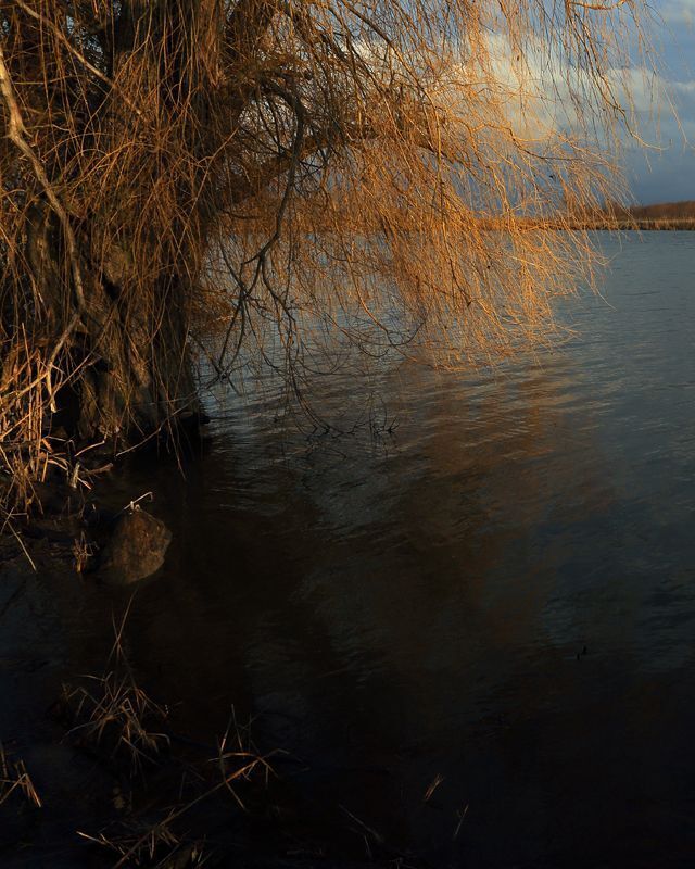 Рыжая грусть