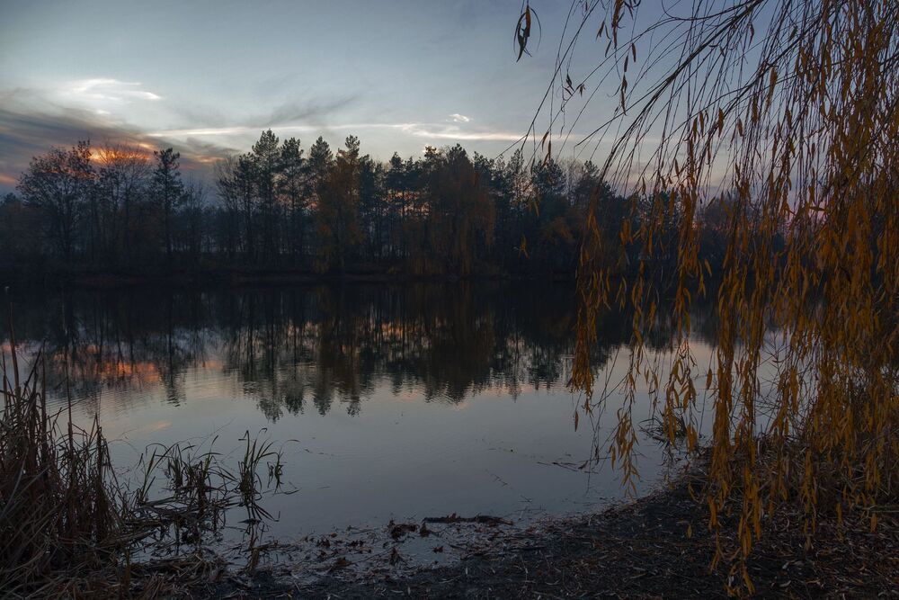 Рыжая грусть