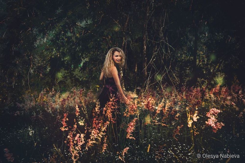 Dream forest