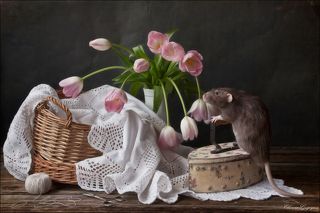 Как погладить весну?