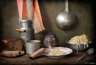 Люблю я макароны!