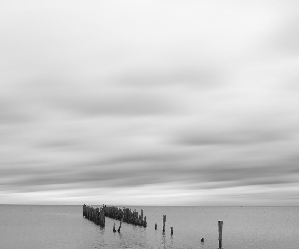 Photo 892499