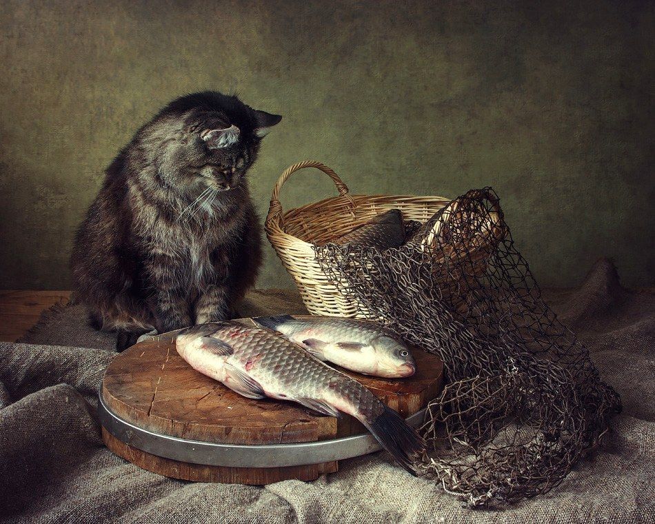 -Еще что ли одного вытащить на допрос?