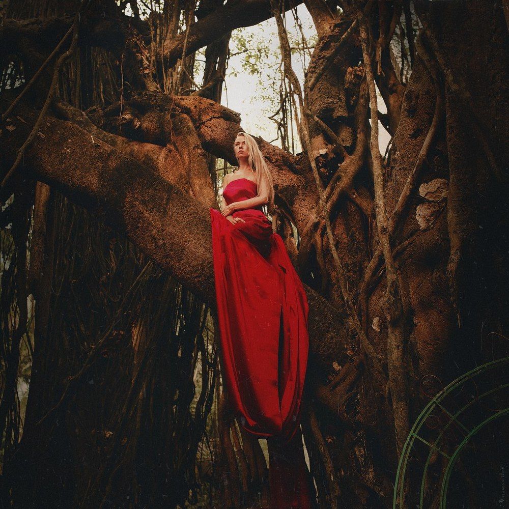 .wood virgin.
