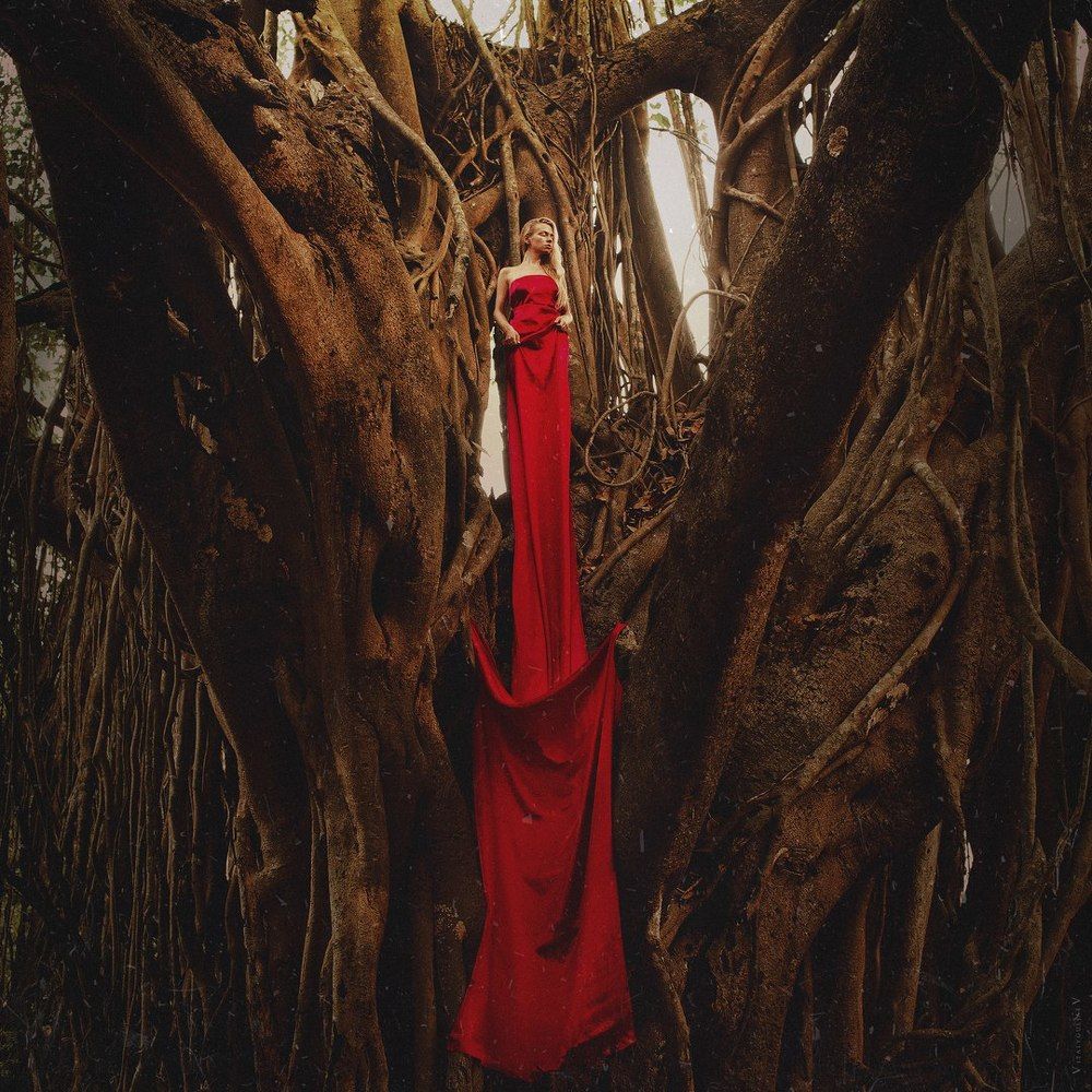 .wood virgin.