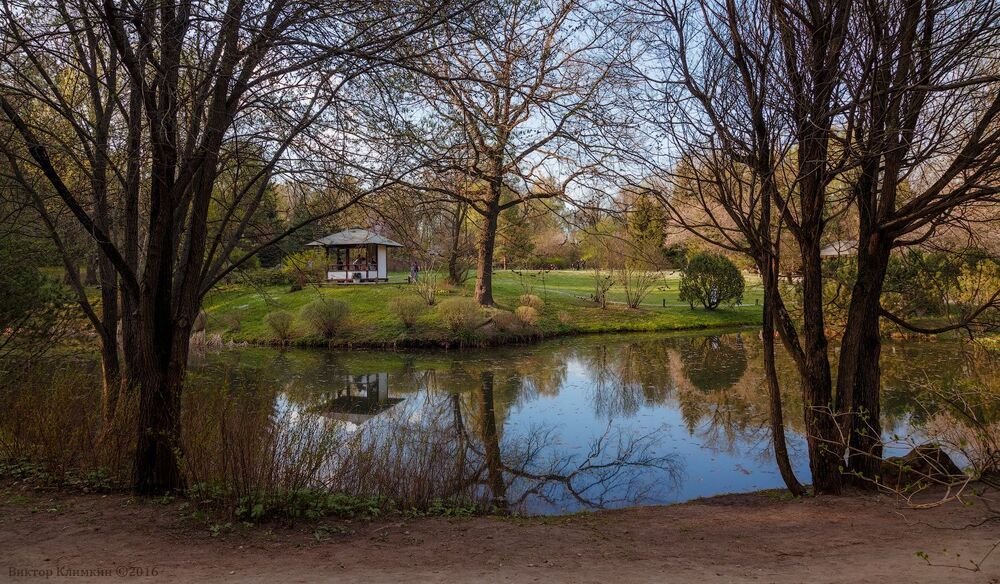 Весна в Ботаническом саду