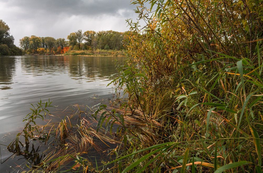 у воды