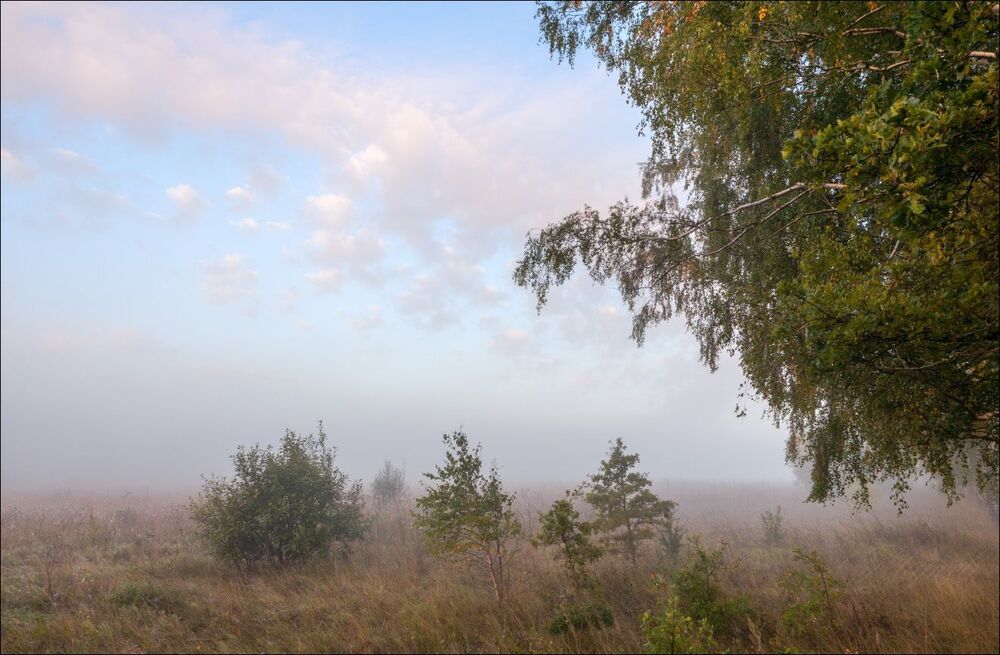 Утро в тумане