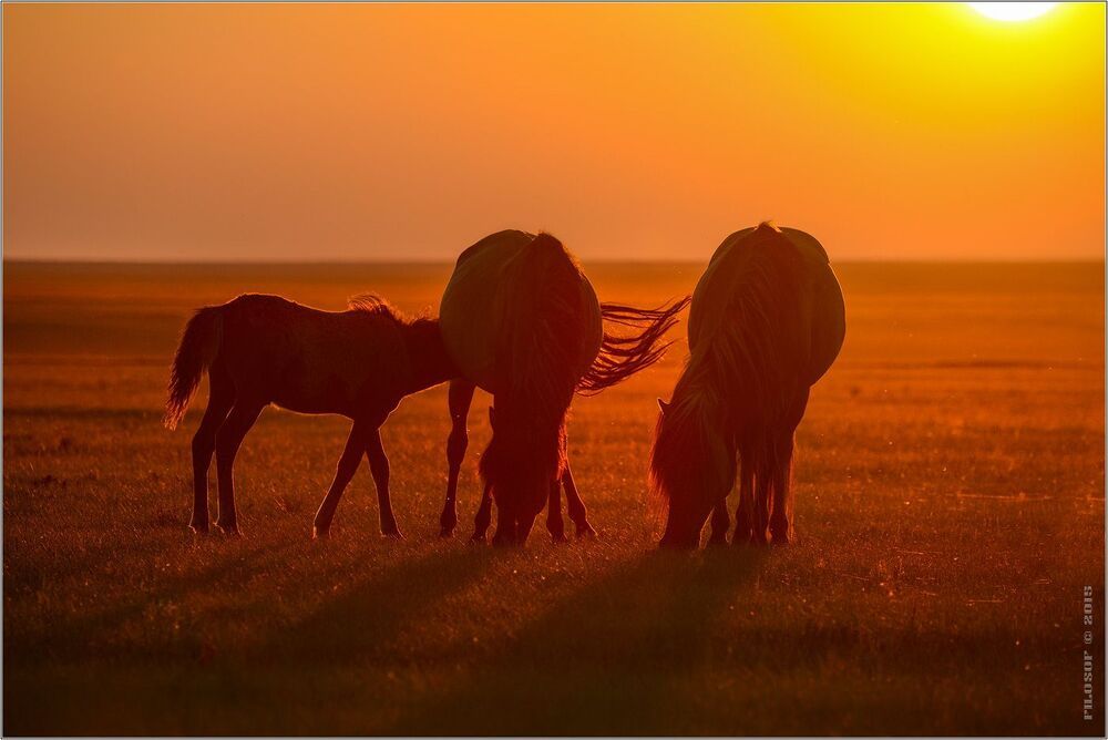 Mongolia