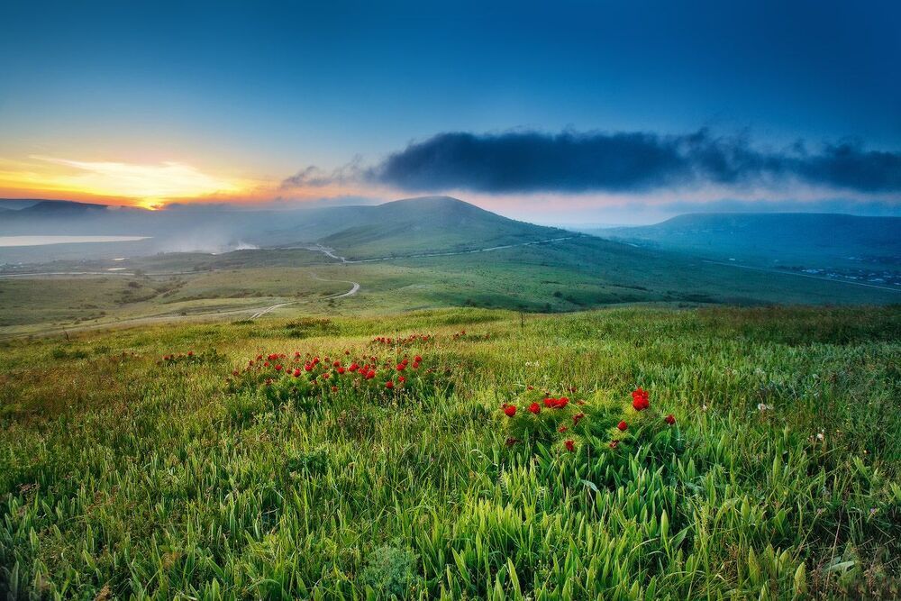 Вспоминая весенний Крым