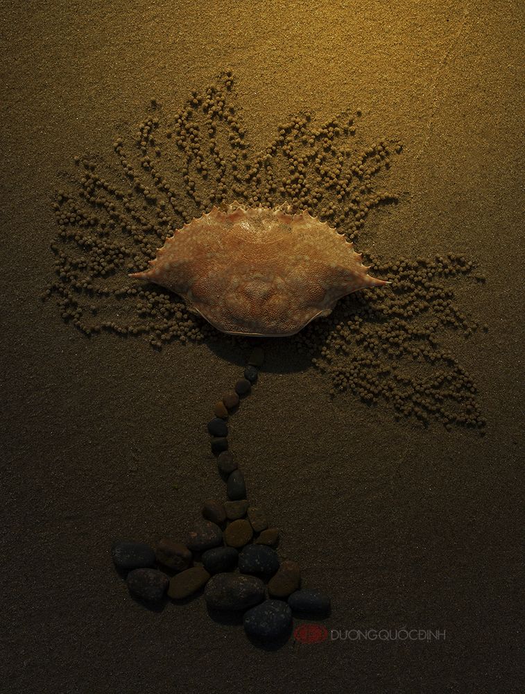 Notion