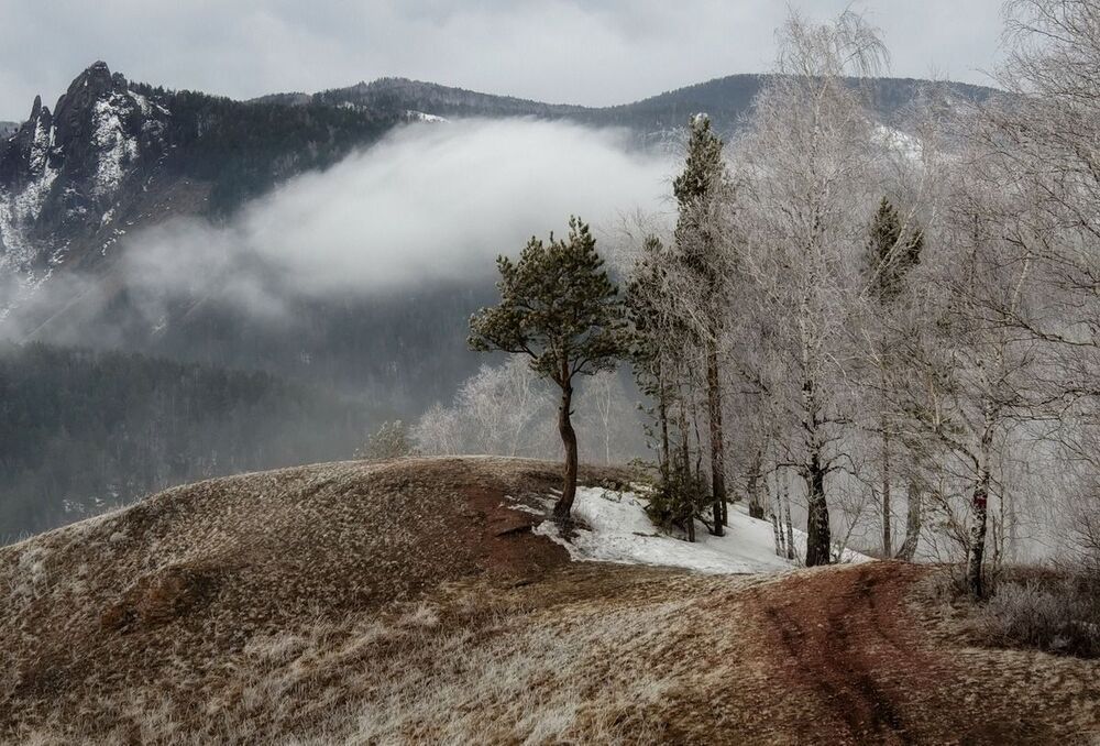 Весенние туманы.