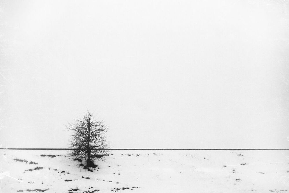 The Mist
