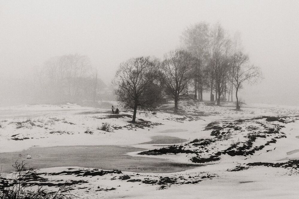The Mist