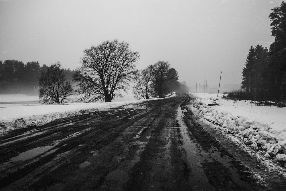 The Mist
