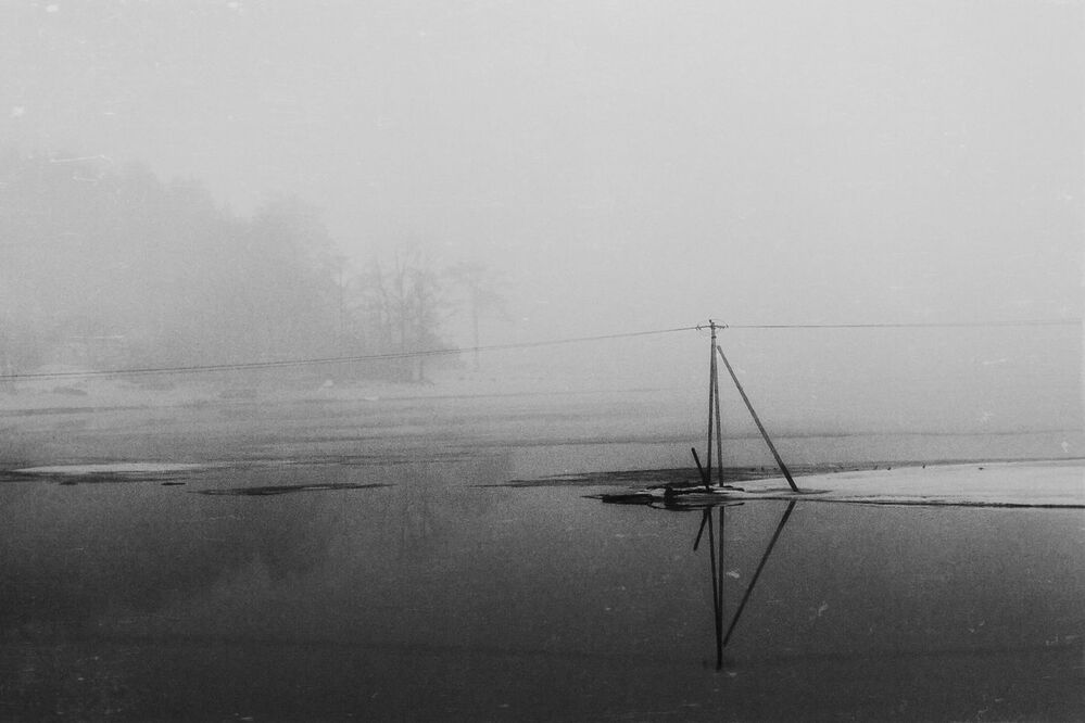 The Mist