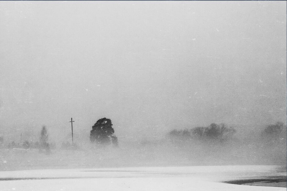 The Mist
