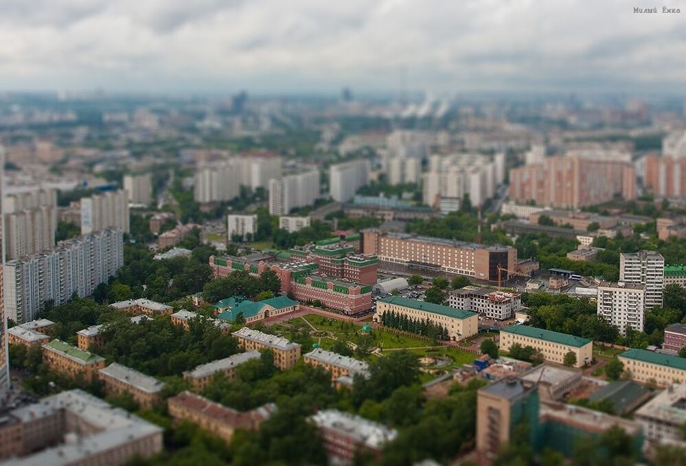 А из нашего окна...