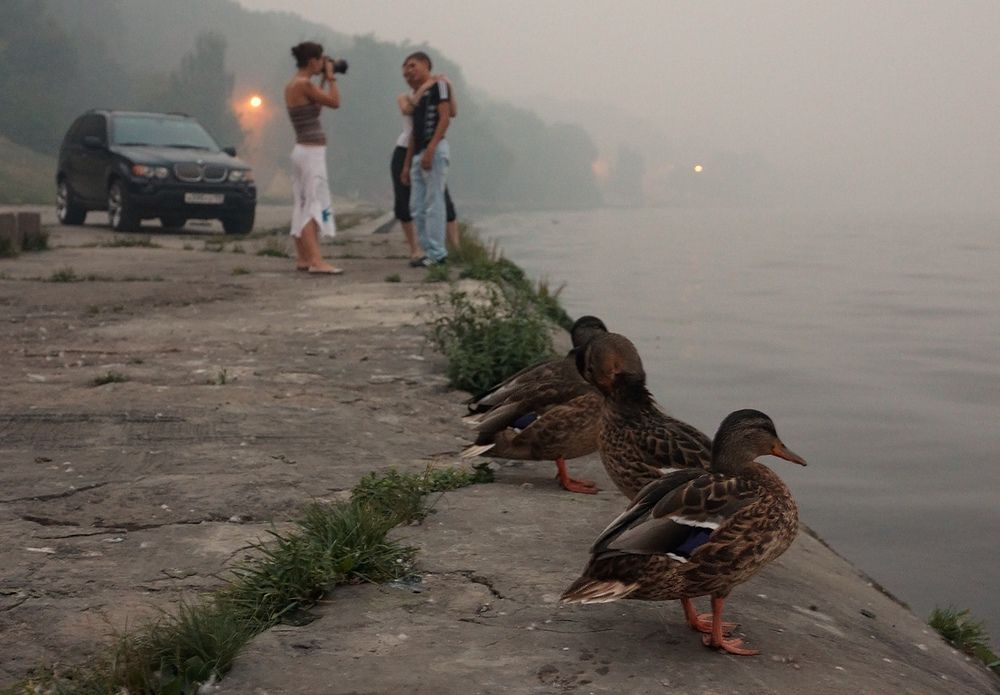 SmoG on the water
