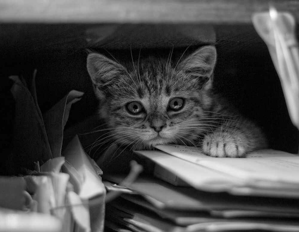 Клерк