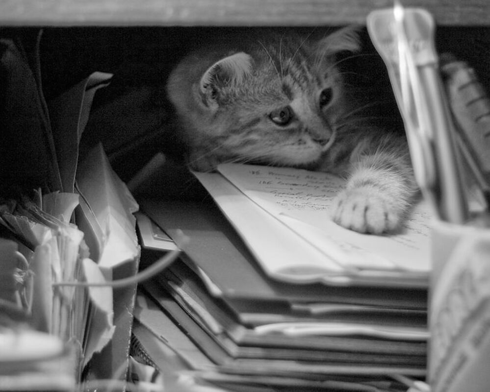 Клерк