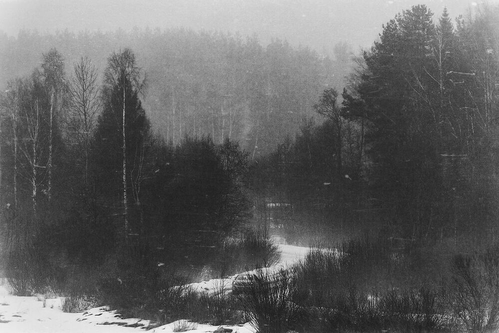 The Mist. Pt.2