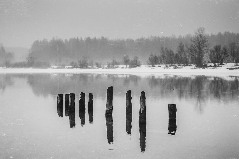 The Mist. Pt.2