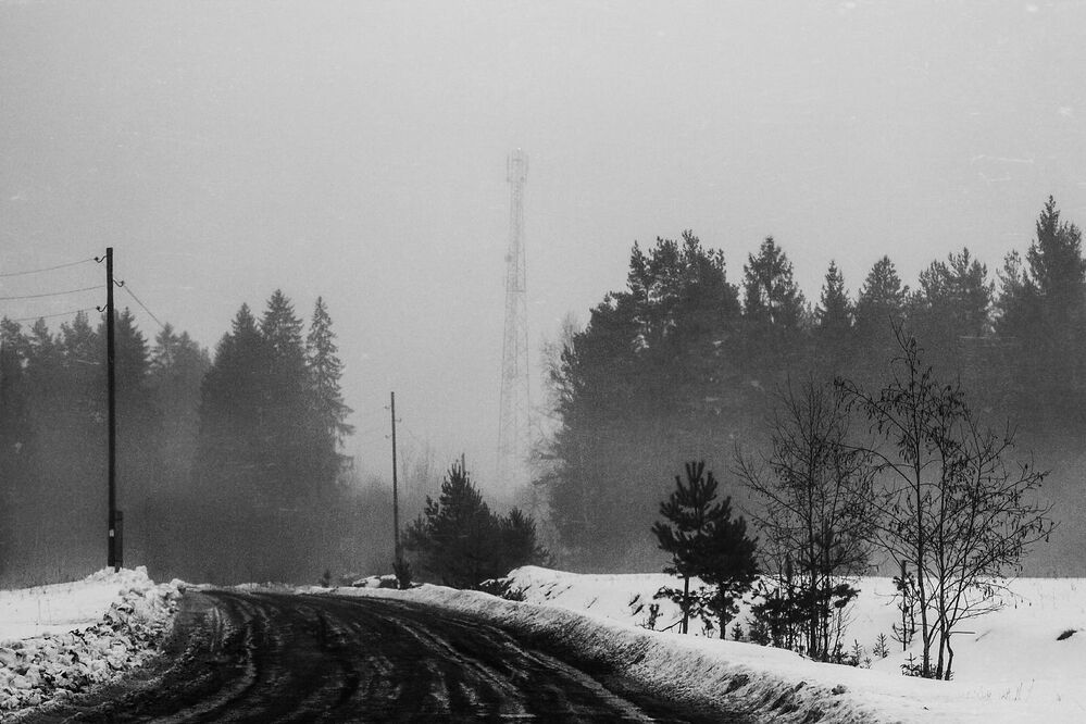The Mist. Pt.2