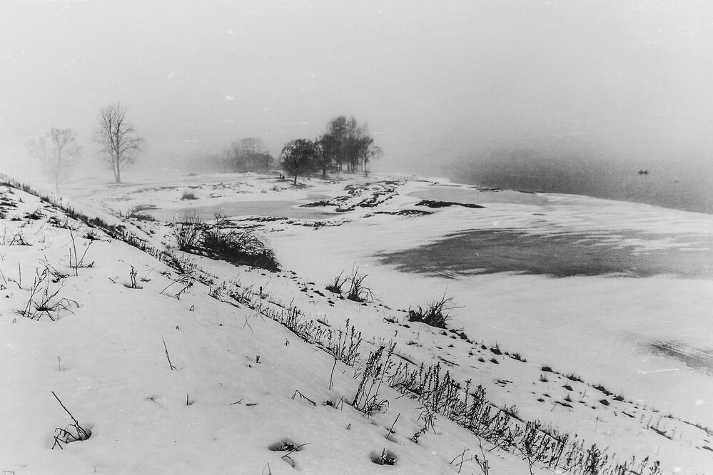 The Mist. Pt.2