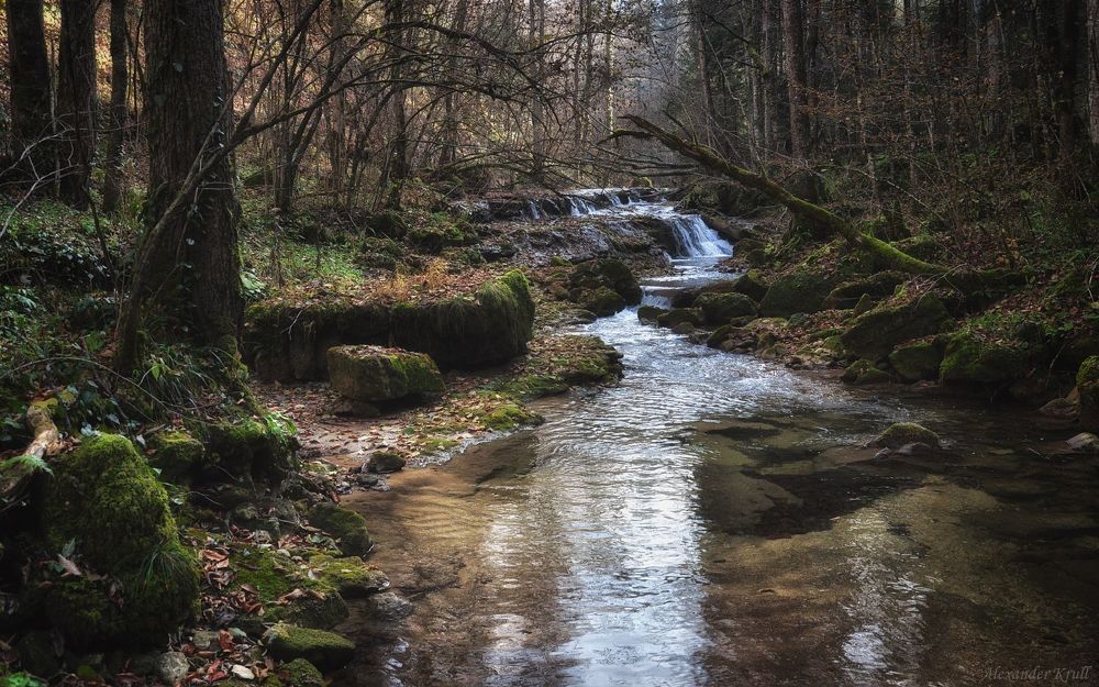 По ноябрьской Мезмайке...