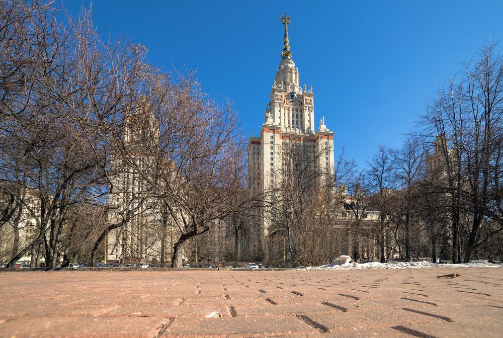 Танец прозрачных ветвей