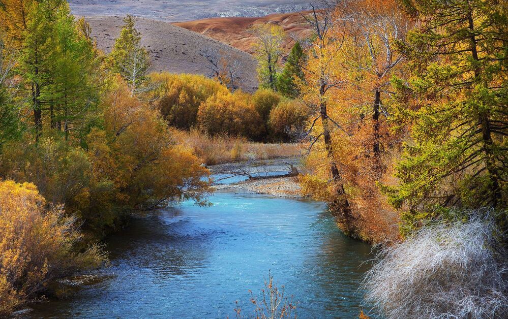 Снято на повороте в село Чаган-Узун, у дороги...