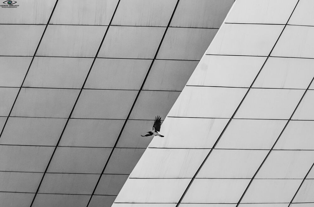 Kerim Abbasov Photographer
