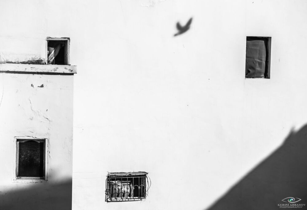 Kerim Abbasov Photographer