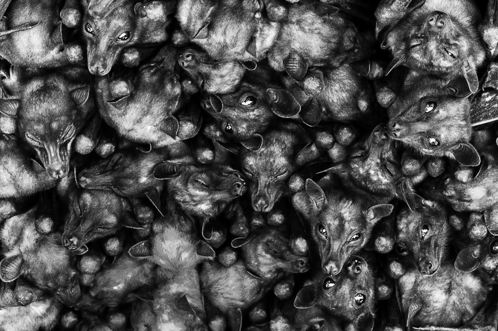 Photo 908642