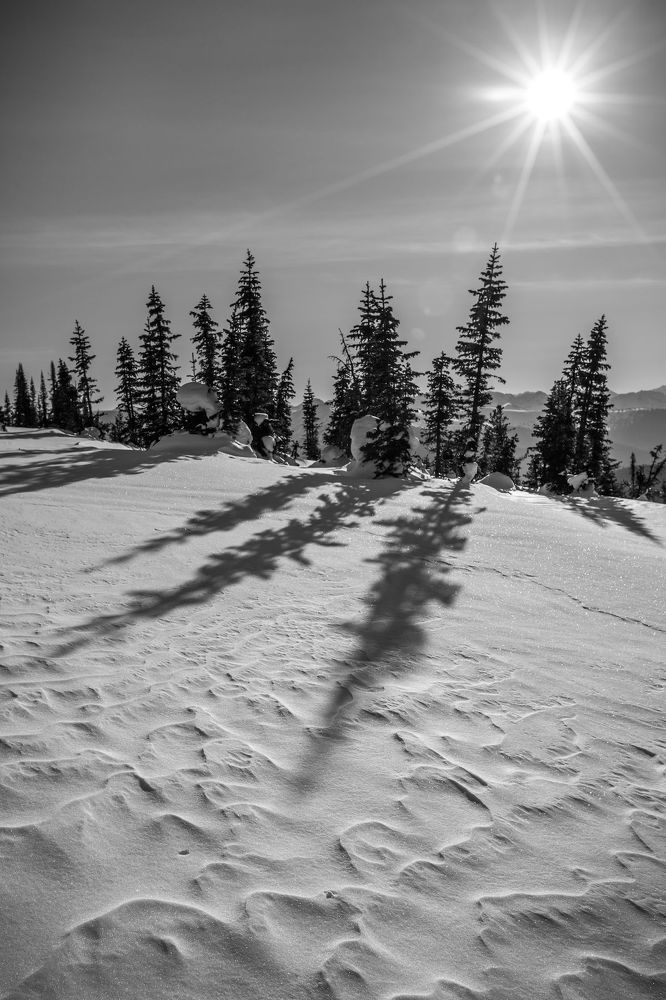 Photo 909496
