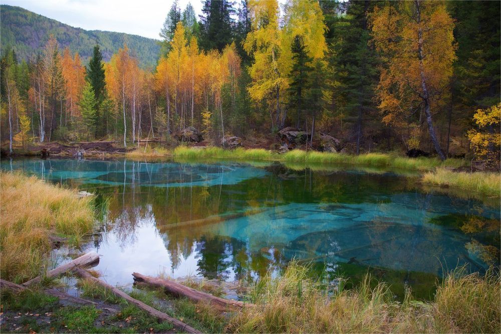 Осенние краски на берегу...