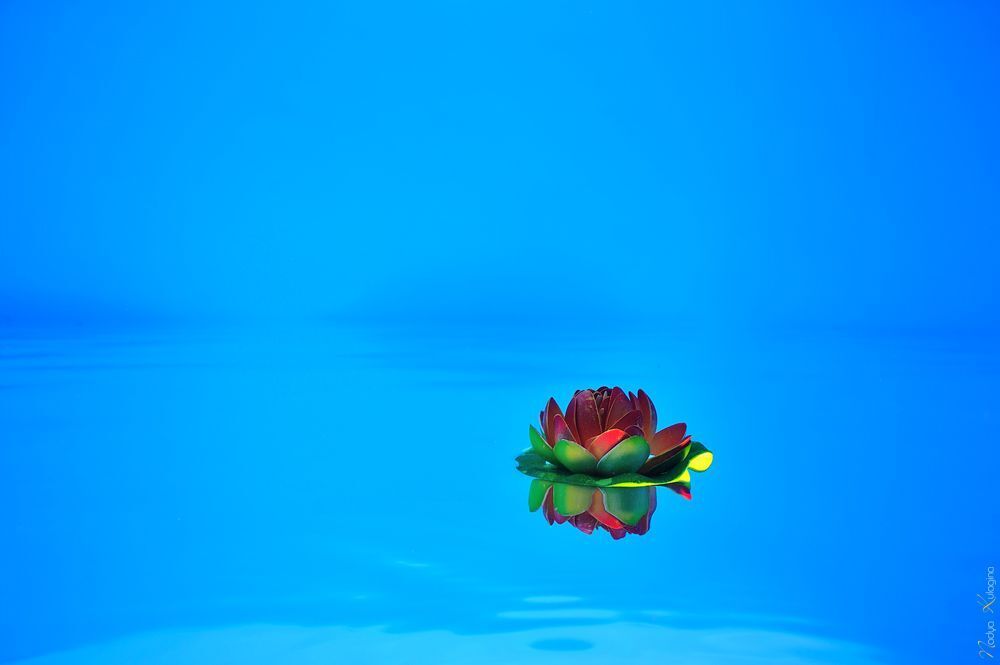 Simple Things