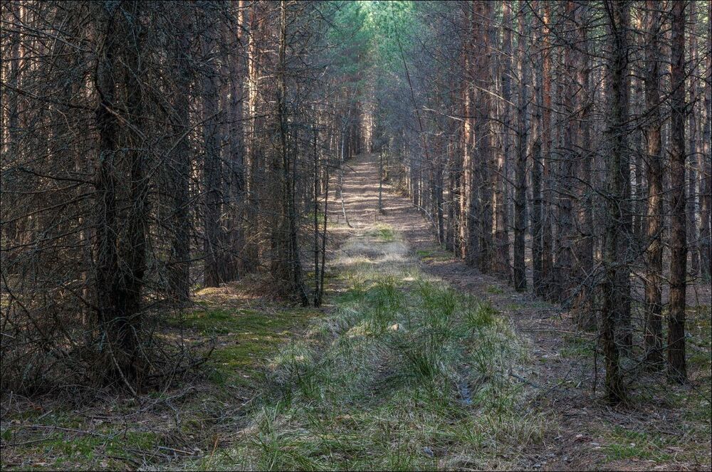 В апреле