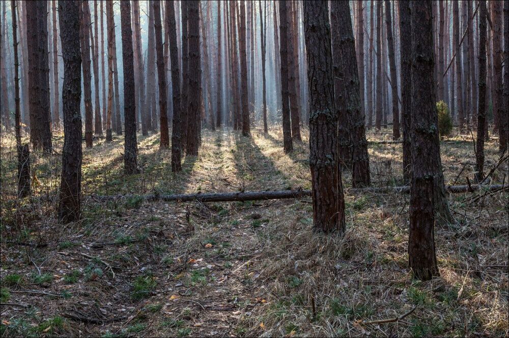 В апреле