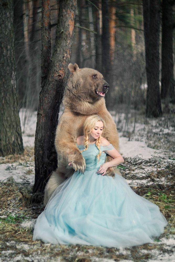 Мишкина любовь