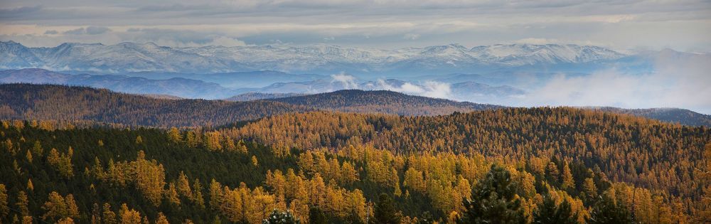 В гостях у дедушки Алтая!