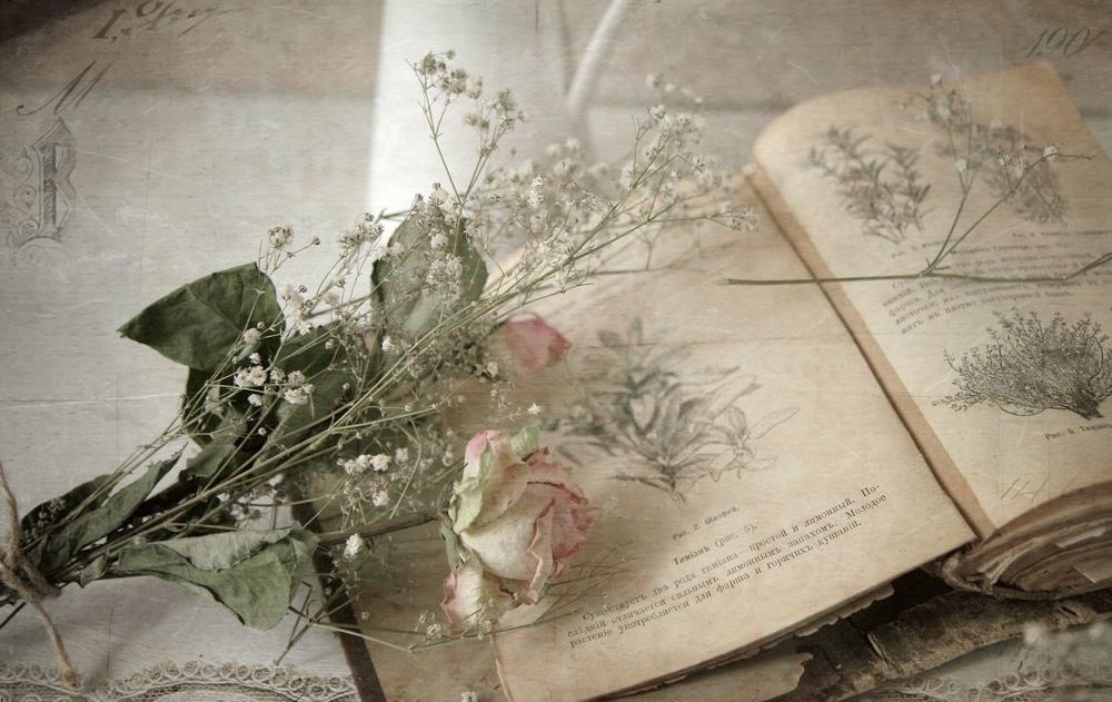 Поваренная книга 1902 г. Раздел специй и трав.